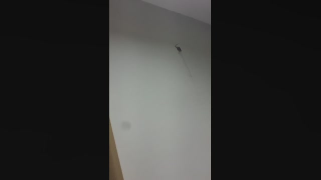 Julianabacker  03-04-2023